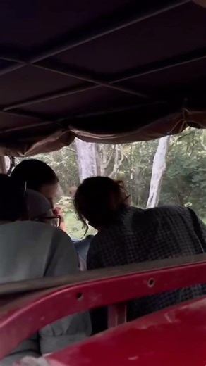 For A Better Safari Expirations. WILPATTU NATIONAL PARK, SRI LANKA🇱🇰