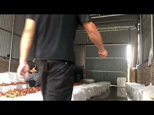 Crafting Wooden Outdoor Bars