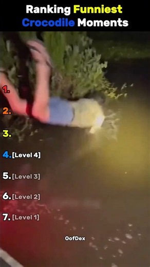 Ranking The Funniest Crocodile Moments 💀😭 #shorts #usa