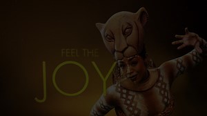 1K views · 315 reactions | Get ready to work on your roar Fox Cities! Tickets are on sale now for Disney's THE LION KING, only at the Fox Cities P.A.C. Jan. 8 - 26. | Fox Cities Performing Arts Center | Facebook