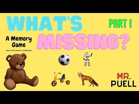 Mr Puell - What's Missing Pt1