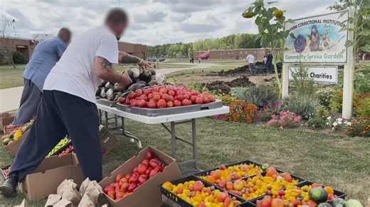 20,000 pounds of donated produce grown in prison garden at Grafton Correctional Institution