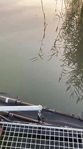 Ce lipseste din acest peisaj, ca sa putem vorbi de "dimineata perfecta"? | Fox International