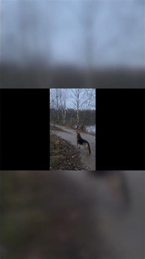 The Untouched Beauty of the Russian Countryside
