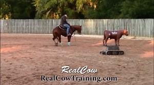 6.3K views · 167 reactions | RealCow Training Systems offers the most realistic version of working a cow! There is nothing else on the market that is quite like the Real Cow! Contact Billy Wier for more information! (678) 410-1848 #RealCow #CHTO | Cutting Horse Training Online | Facebook