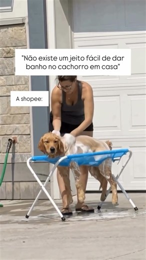 "No Easy Way To Bathe A Dog At Home"… This Hammock Proved Them Wrong! 😂🛁🐶
