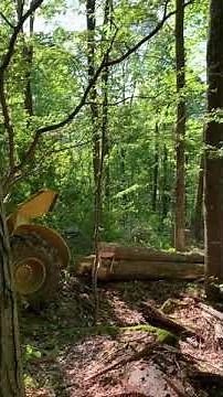 WV Cable Skidder Logging Tigercat 602