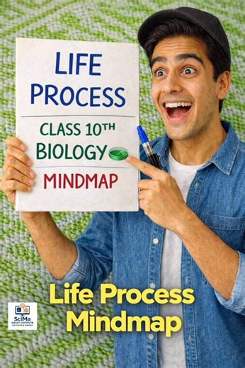 🔥CLASS 10TH🔥BIOLOGY🔥LIFE PROCESS🔥 MINDMAP🔥 #coaching #class10 #boardexam #biology #mindmaps