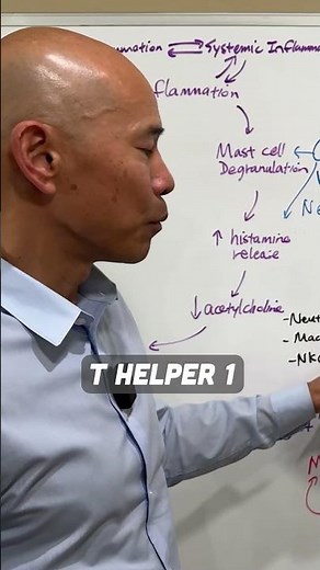 How to support the TH1 immune response?