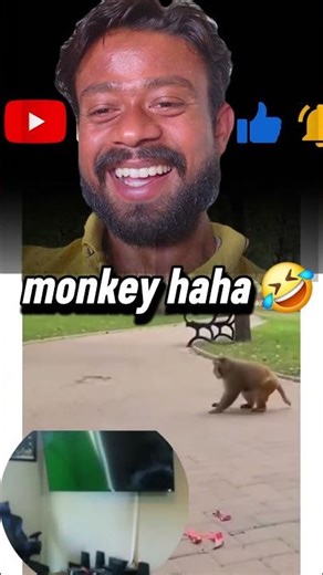 monkey🤣 rocket #viral #funny #india #a #comedy #funny