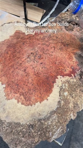 #longbow #tradbow #archery #harveyarchery #recurvebow #tradbowhunting #longbows #recurvebow #tradbowhunting #traditionalbows #tradbows | Harvey Archery
