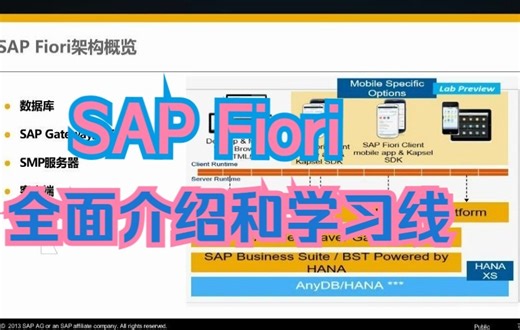 SAP Fiori全面介绍和学习路线【720p】