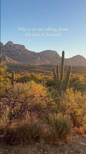 Hidden gem in Arizona 🌵 Catalina State Park hiking guide & trail info