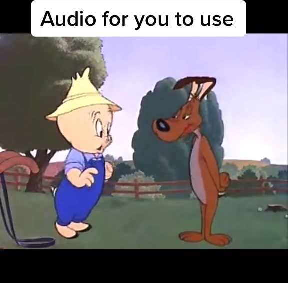 Looney Tunes Comedy with Porky Pig and a Labrador