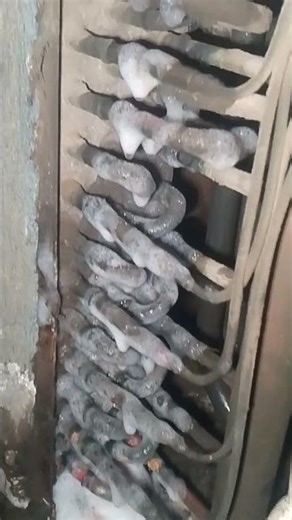 NFS Sénégal VRV/ Dkr # Daikin maintenance & froid