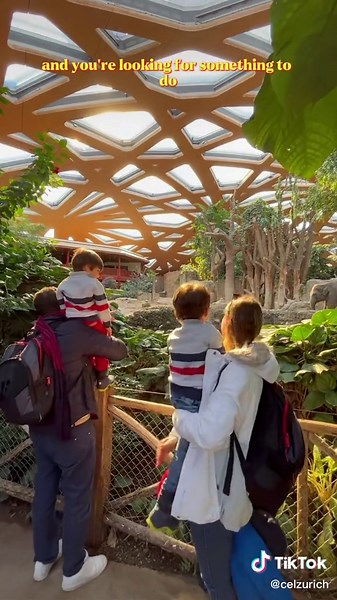 CEO of Recommendations on TikTok