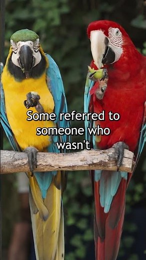 Parrots Might Not Just Mimic Words — They May Actually Use Names
