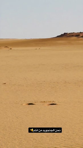 27K views · 2.7K reactions | Wad Habib Habib on Reels | Facebook