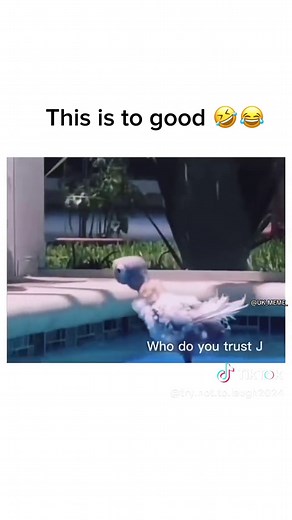 #rytm #hardestpuzzle #thingswealldidaskids #cobrakai #fatmom #favoritecharacter #schizoposting #blue #bomb #rageroom #blueocean #piper #fatlosstipsforfemales #mom #henrydanger #cobrakaiseason6 #fat #sea #kiwi #foreign