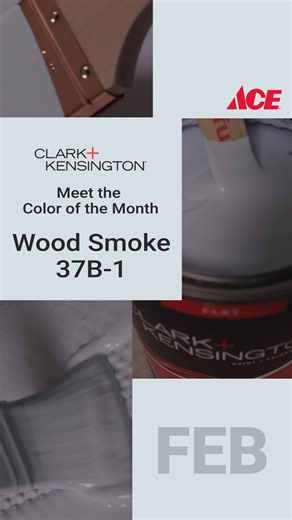 New color alert! 👀 And a paint sale to make your room makeover happen. | Ace Hardware