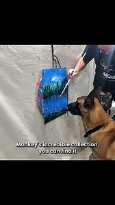 740K views · 38K reactions | Monkey's art | Omar and Monkey | Facebook