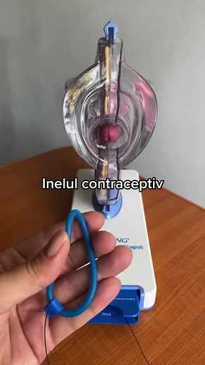Inelul vaginal este o forma excelenta de contraceptie, daca esti in cautare de ceva non-invaziv. Daca te-ai hotarat sa folosesti un inel vagin, iti doresc succes! Daca nu iti place, adu-ti aminte ca exista o multime de alte modalitati de a preveni sarcina. . . . . #vaginalring #corpultauestetemplultau #info #protectivestyles #contraception #womensupportingwomen #womenempowerment #ring #fy #fyp #explore #viral #wednesday #foryou #foryoupage