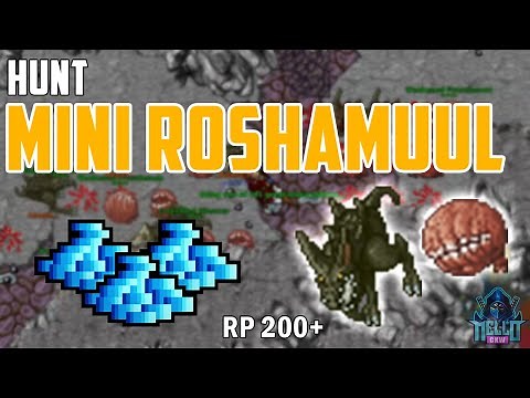 Hunt RP 200+ Mini Roshamuul - Boquinha Feyrist