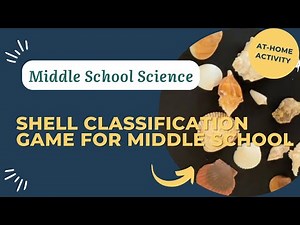 Shell Classification Game | At-Home Outdoor Science for Middle School