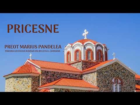 Colaj Pricesne - Preot Marius Pandelea