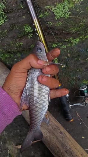 Micro Fishing Adventures in Malang
