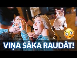 PĀRSTEIDZĀM VIŅUS AR MAZIEM KAĶĒNIEM!