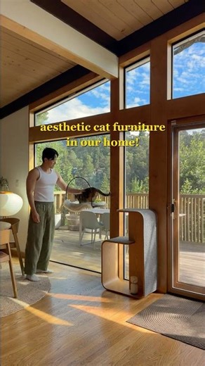 Cat furniture that looks like home decor! #cat #interiordesign #homedecor