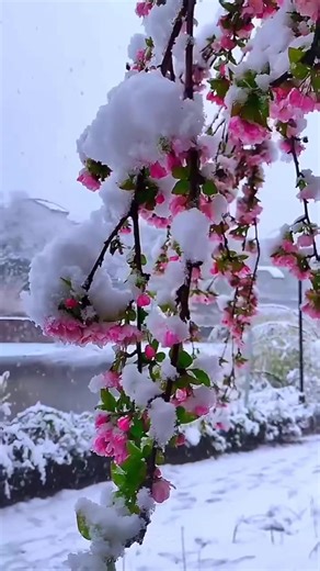 Elisabeth Huttar (@elisabeth.huttar)’s videos with Kiss in the Night - David Hasselhoff