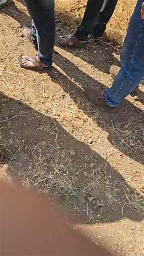 Mauli News Network- माऊली न्यूज नेटवर्क on Reels