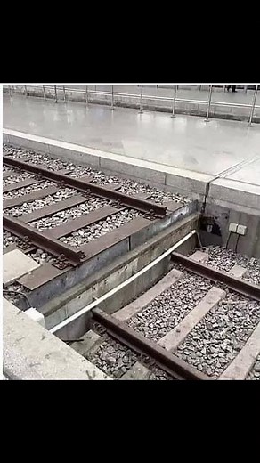 Attention on platform 2! 🛤️🚅😅 #bahn #gleise #db #diebahn #schienen #crash #train #bahnhof #announ...