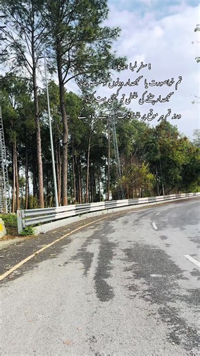 Advances to another year with new commitments ✨ #happynewyear #2026 #islamabad #explore #foryou