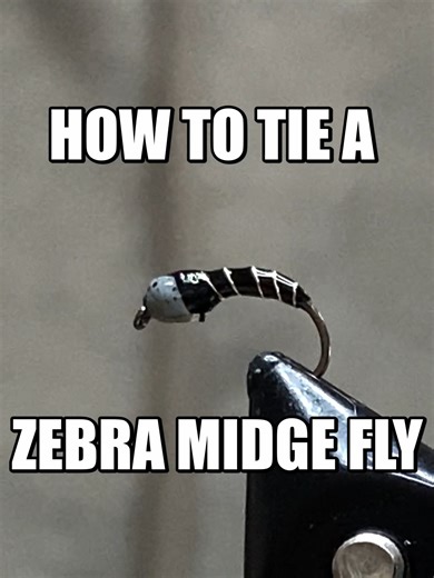 How To Tie a Zebra Midge Fly#flyfisherman #flytying #flyfishing #fishing #fishingtips #midwestfishing #fyp #fypシ #flytyingjunkie #fishingonvideogames #flytyingtutorial #flytyingnation #flytyingtiktok Materials UTC Ultra Wire - https://amzn.to/4rFYofn Slotted Tungsten Beads - https://amzn.to/46AkGXx Black Thread - https://amzn.to/3MPOGIo Uv Resin - https://amzn.to/4bG3inv Hook size 16 - https://amzn.to/3NrLR08 Music by- Music: Good Energy by Aylex https://soundcloud.com/alexproductionsmusic Licen