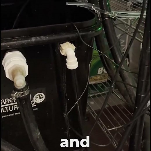 RDWC Grower Saves Hours with Growee - Automatic pH Control & EC Monitoring #hydroponics