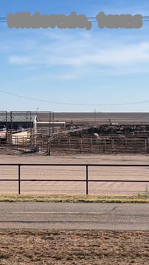 #steak #beef #texas #TheHarmanGroup #patrickleblanc | Patrick Leblanc