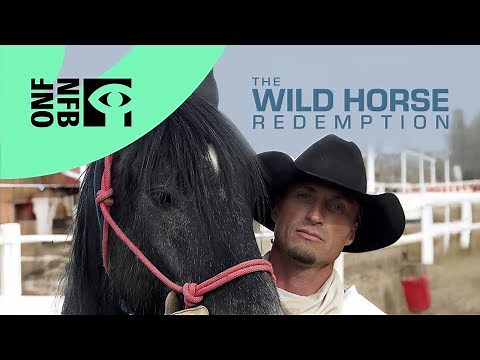 THE WILD HORSE REDEMPTION | Full Documentary | National Film Board of Canada