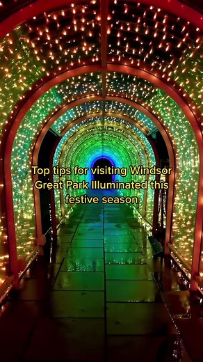 Experience Windsor Great Park Illuminated: Festive Magic Awaits
