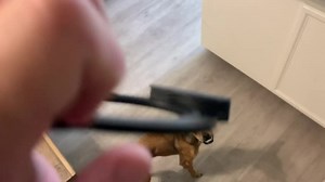 Watch One small issue on Amazon Live