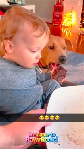 Dogs vs. Human Food: Round 2 🥊🐾 #shorts