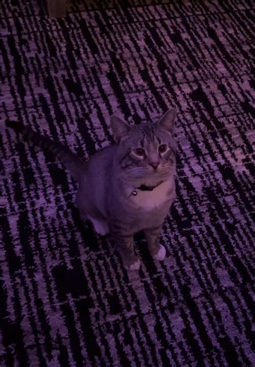 Avoiding Unwanted Noise in Conversations