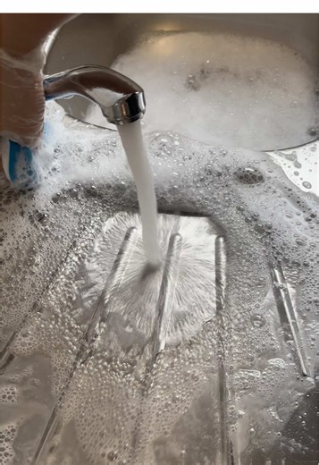 German Shopping Finds on Temu: My Latest Purchases