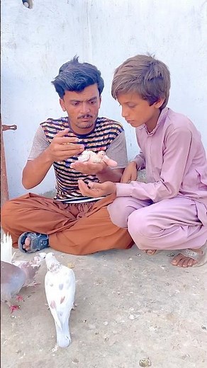 A Little Boy Saved an Injured Baby Pigeon 🕊️❤️ #shorts