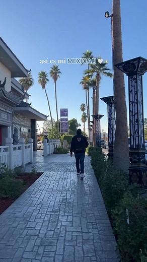 Colores vibrantes de Mexicali: Un viaje cultural