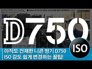 [사진강좌] Nikon D750 ISO 변경, D850처럼 쉽게 조치하기