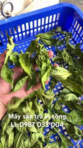 Máy sấy vi sóng