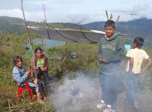 Indígenas de La Montaña resisten el temporal, sin cobijo alguno (crónica y videos)